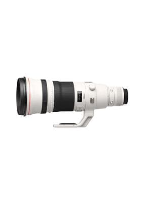 Canon EF 500mm f/4 L IS II USM